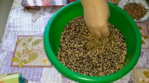 Зерновая смесь для канареек.mp4