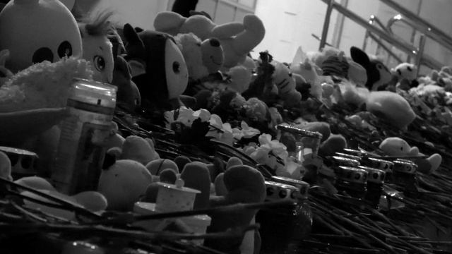 В память о погибших от теракта в Крокусе... смотреть онлайн