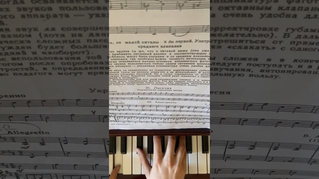 Accompaniment For / В. А. Моцарт - Аллегретто | W. A. Mozart - Allegretto / Için Eşlik