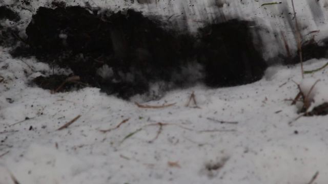 Шунема - Карачун смотреть онлайн