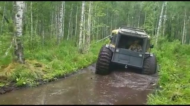 Болотные Проходимцы и Шатун 2022 смотреть онлайн