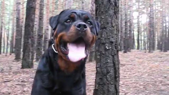 lola3 смотреть онлайн