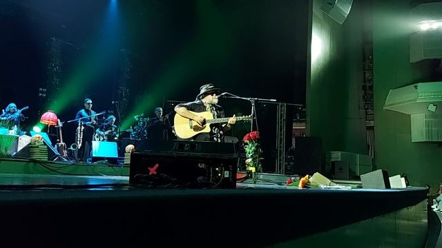 Аквариум - 13. Фикус религиозный смотреть онлайн