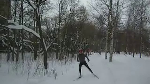 Полежаевский парк 5,6 км смотреть онлайн