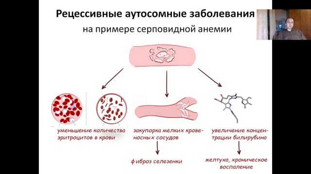 Лекция 8. Мутации и мутагенез (2022)