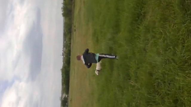 Злой алабай и ребёнок:-) :-) смотреть онлайн