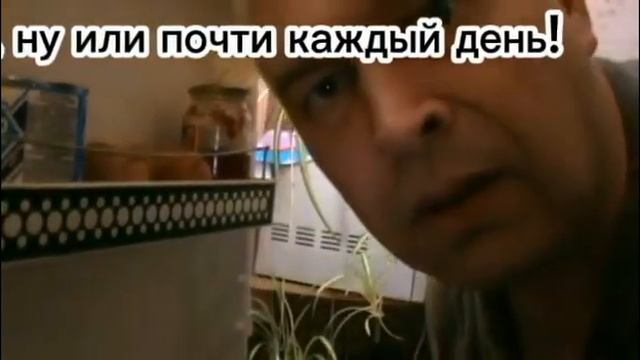 Автобус номер 38Э Автовокзал Ул. Сурганова г. Гомель. смотреть онлайн