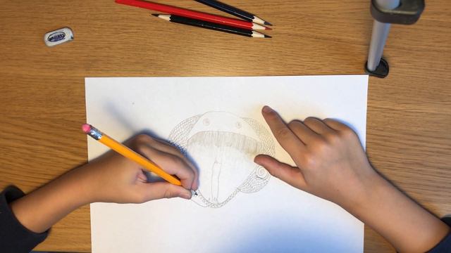 How To Draw A Cobra / Как нарисовать Кобру