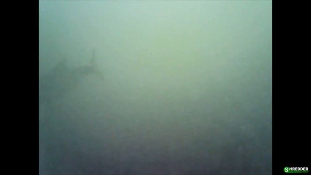 Сухой Кислород (Активный, Active Oxygen) на Рыбалке Летом и Зимой. Привлекает Рыбу? Улучшает Клев? смотреть онлайн