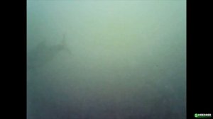 Сухой Кислород (Активный, Active Oxygen) на Рыбалке Летом и Зимой. Привлекает Рыбу? Улучшает Клев?