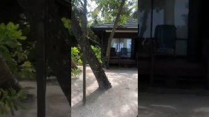 Royal Island Resort & Spa 5* Мальдивы