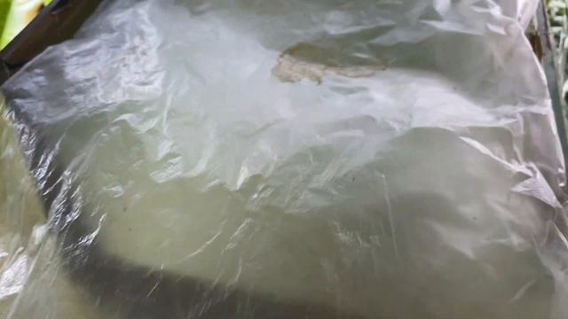 Флорариум: моя версия. смотреть онлайн