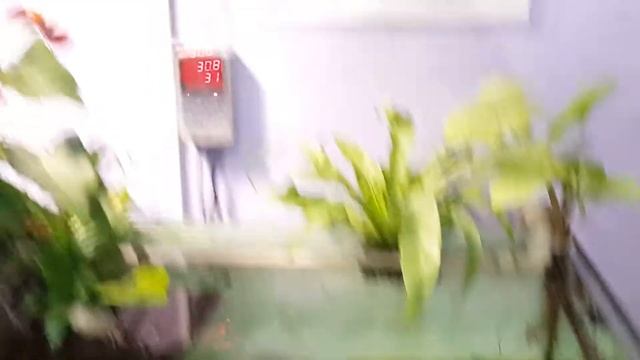 110514 пример применения неодимовых магнитов для крепления смотреть онлайн