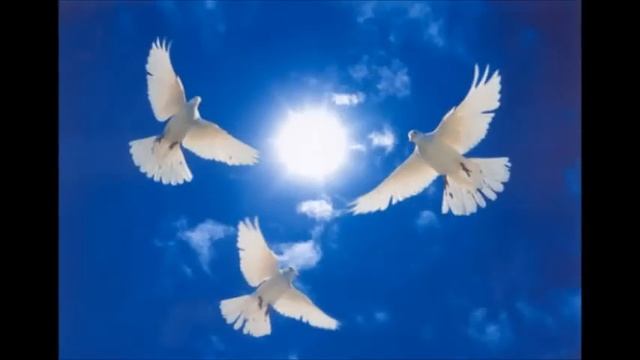 Учителю, педагогу, наставнику посвящается! смотреть онлайн