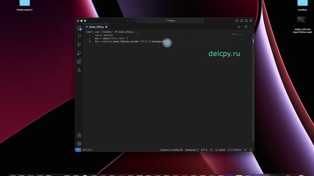 shake_256 and input Python смотреть онлайн