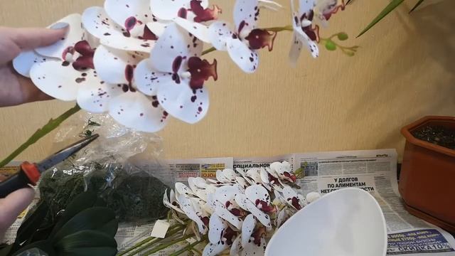Как посадить искусственную орхидею в кашпо. Видео для начинающих. смотреть онлайн