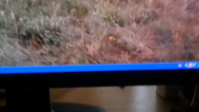 DELL U2312HM - поломка монитора(мерцание розовым цветом справа). смотреть онлайн