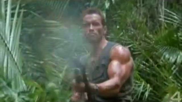 Серая Шейка