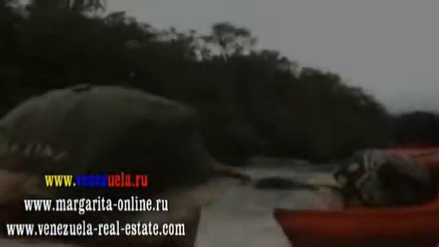 Национальный парк Канайма — самый высокий водопад в мире Анхель тепуи www venezuela ru смотреть онлайн