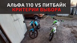 Альфа 110 или Питбайк. Что же все-таки лучше?