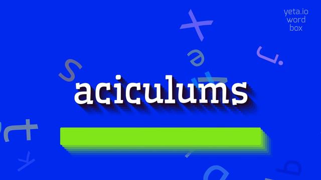 ACICULUMS - HOW TO SAY ACICULUMS? #aciculums смотреть онлайн