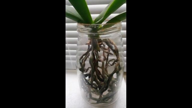 ?Превосходно ?Я довольно на все ???27.10.2023 смотреть онлайн