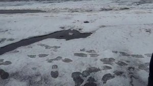 Обзор Маз Колас 65012J-8535-000 самосвал 6x4 с боковой разгрузкой,с 3х осным прицепом