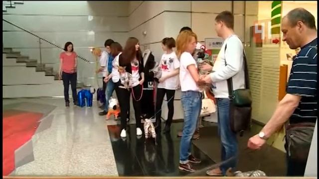 Собаки-космонавты смотреть онлайн
