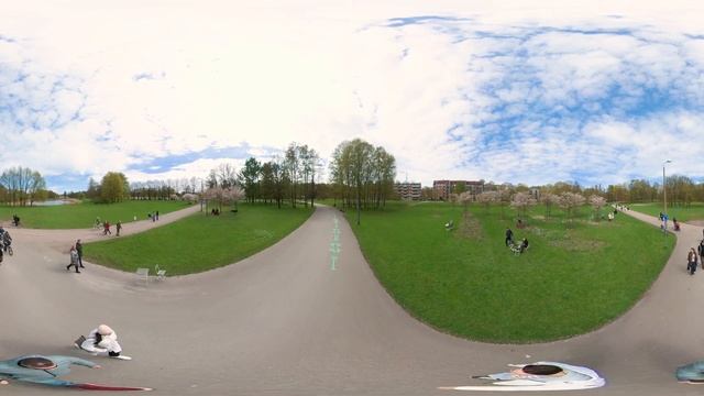 Best Early Sakura - Riga 360 VR | Парк Победы - Цветение Сакуры смотреть онлайн