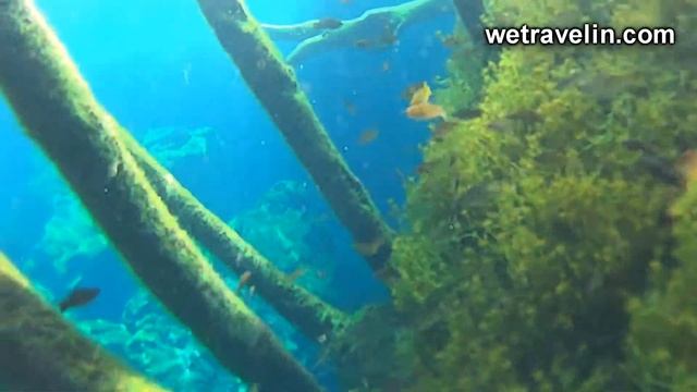 Сенот Эден| Достопримечательности Мексики смотреть онлайн