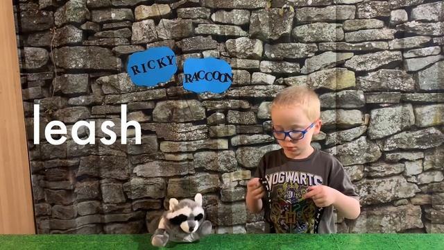 How to Read /ea/ Words with Ricky Raccoon смотреть онлайн