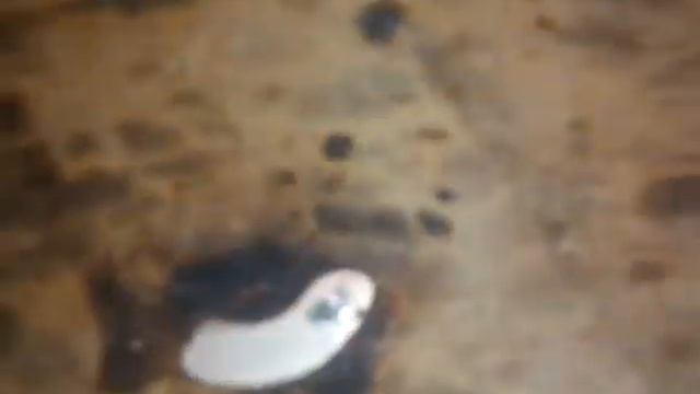 Как залудить неодимовый магнит