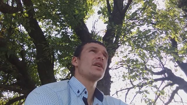Видео благодарность для разработчиков JavaRush смотреть онлайн