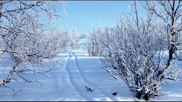 prosto neveroyatno trogatelnaya melodiya dalnie kraya krasivaya muzika смотреть онлайн