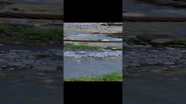 Гнездо совы! Пикниковая зона г.Адлер! смотреть онлайн