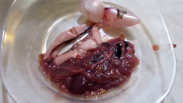 Речная рыба - свежие живые караси смотреть онлайн