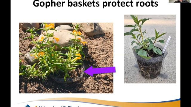 Gardening For Beginners, Class 3 of 4 смотреть онлайн