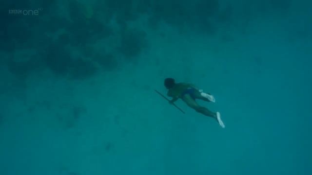 Human Planet Water World