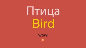 Птица по-английски