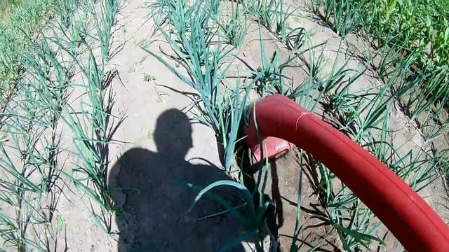 Обработка междурядий электротяпкой    Eurosystems Lucciola 220V/250Wt. Серия 2