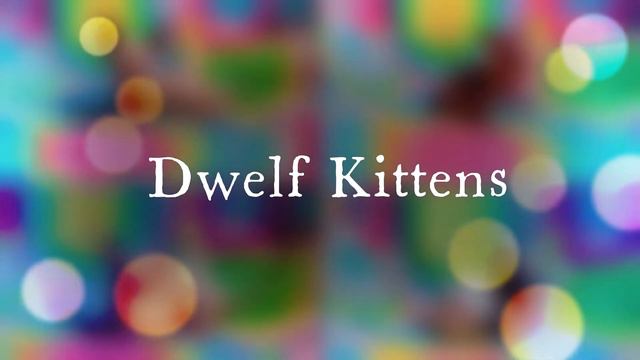 Newborns Arriving - Hairless Sphynx Elf Bambino & Dwelf Kittens - SphynxKing.Com смотреть онлайн