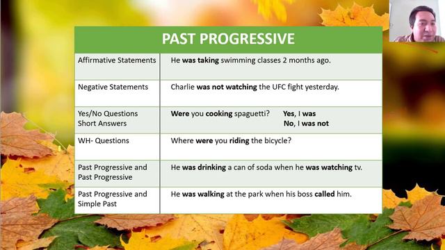 Simple Past and Past Progressive (UES-VIDEO) смотреть онлайн