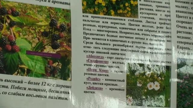 Фазенда - 2012 / Весна №52