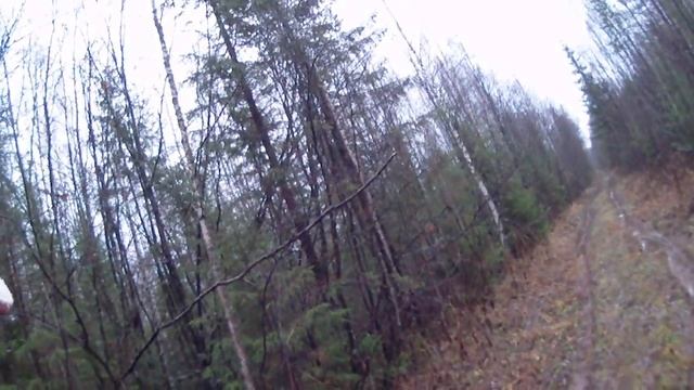 Кировская Речной - 4 смотреть онлайн