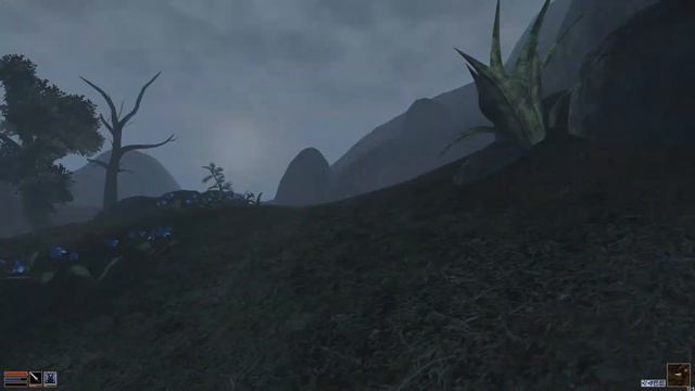 Морра! смотреть онлайн