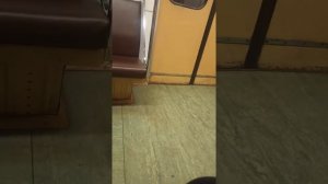 Станция метро «Царицыно»