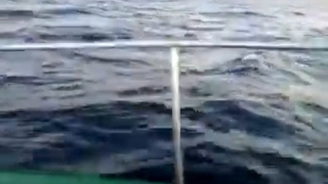 днестровская банка смотреть онлайн