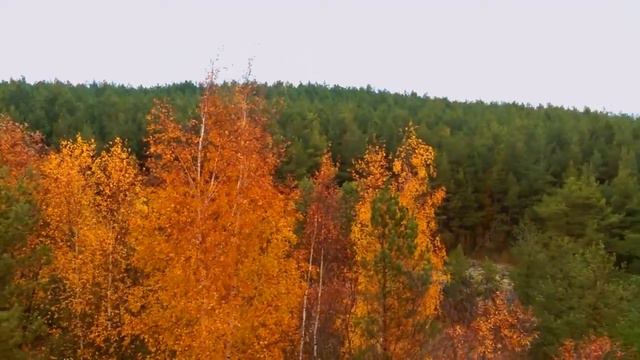 Калининград .осенний смотреть онлайн