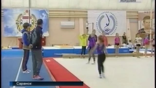 На пост главного тренера Мордовии по спортивной гимнастике назначен Сергей Зеликсон смотреть онлайн