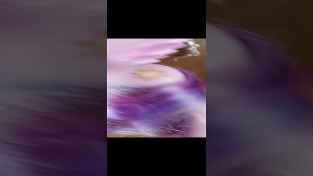 распоковка новой пони